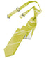 Striped Satin Skinny Necktie Pre-Tie-61