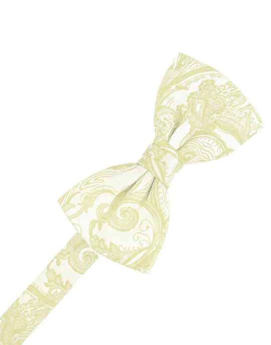 Tapestry Kids Bow Tie-9