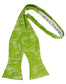 Tapestry Bow Tie Self Tie-12