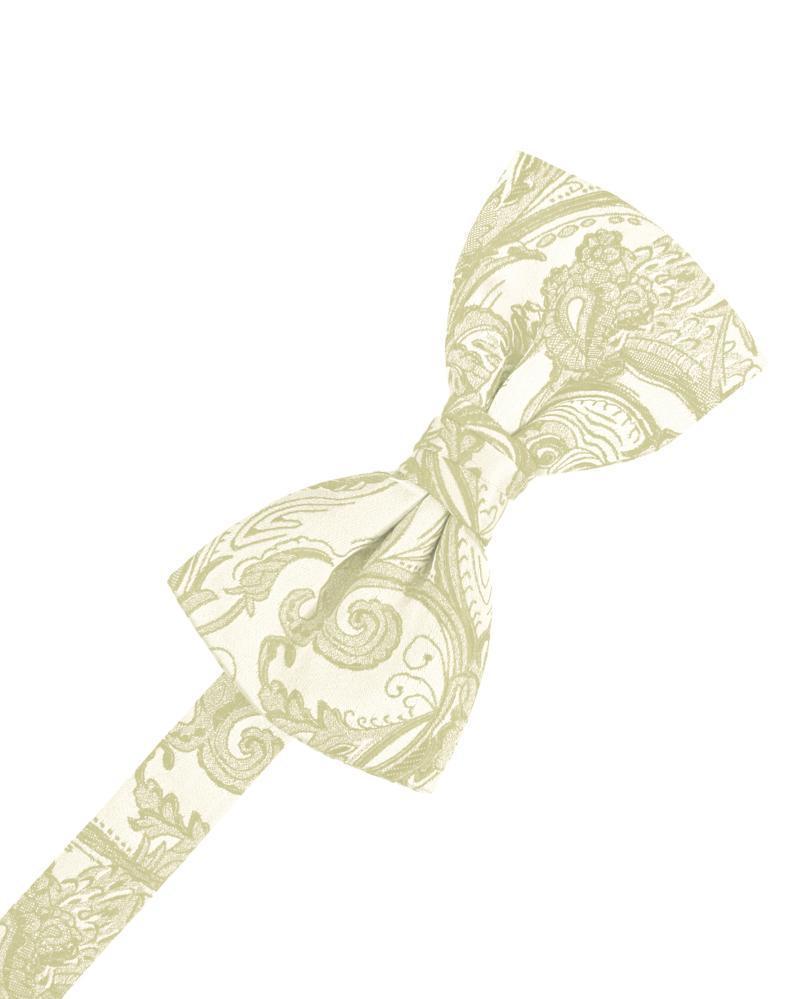 Tapestry Kids Bow Tie-26