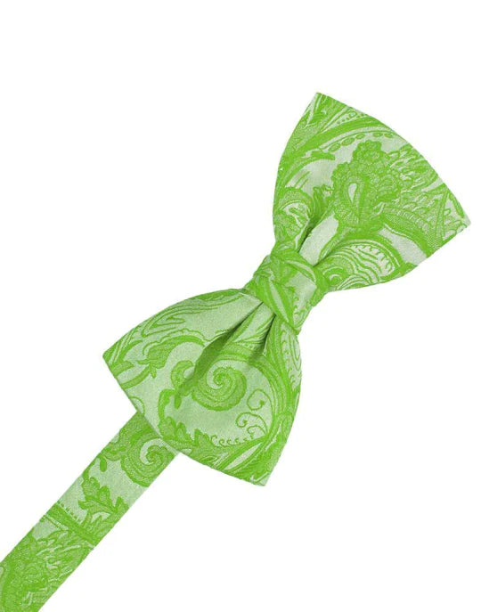Tapestry Kids Bow Tie-28