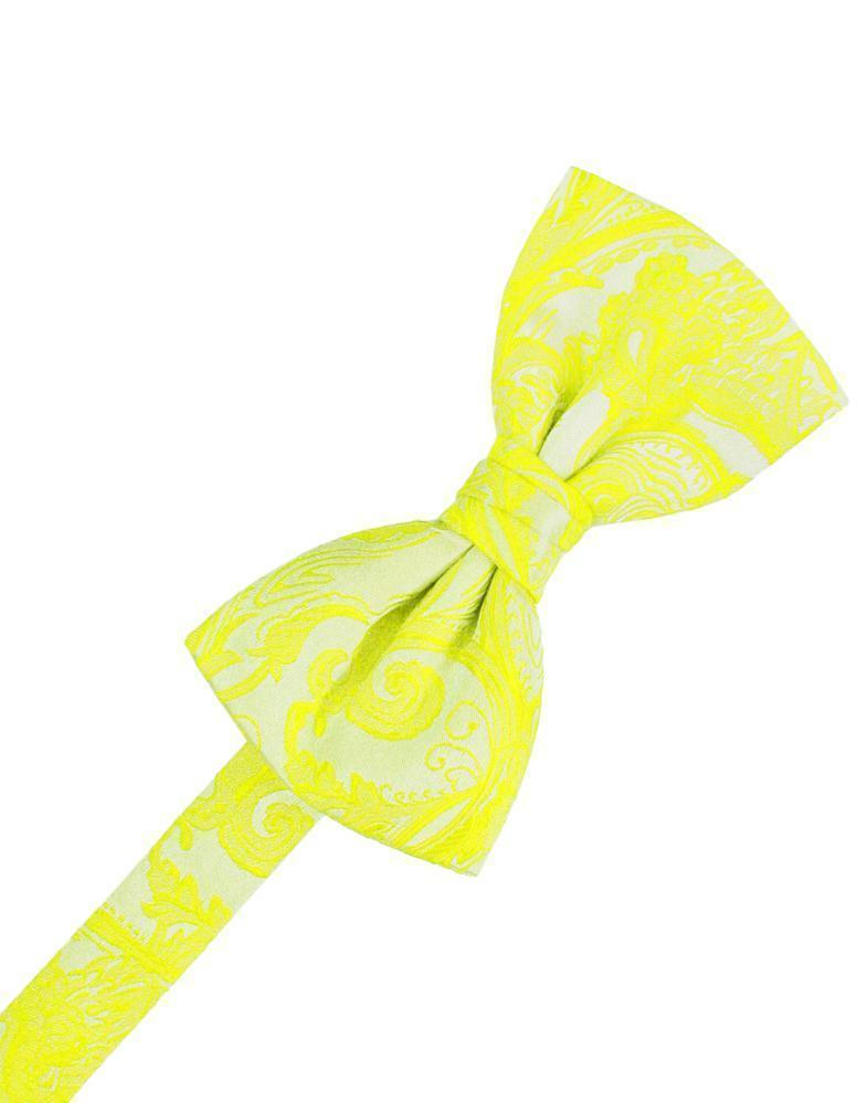 Tapestry Kids Bow Tie-31