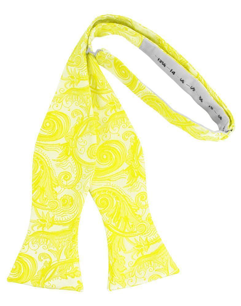 Tapestry Bow Tie Self Tie-31