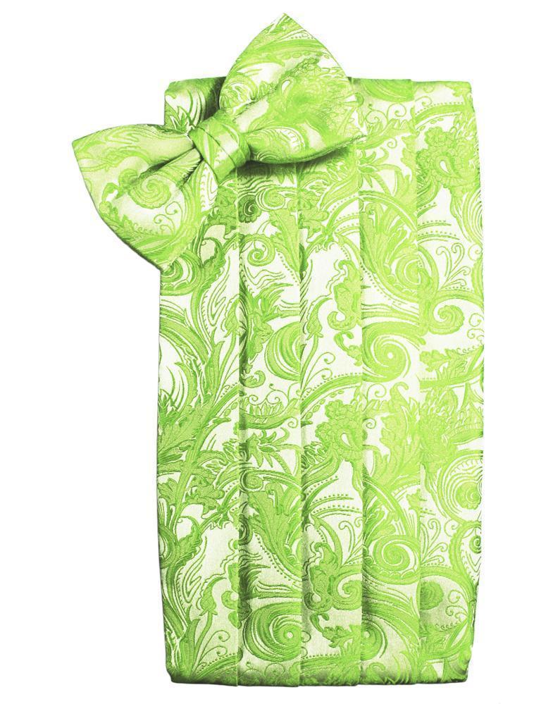 Tapestry Cummerbund-32