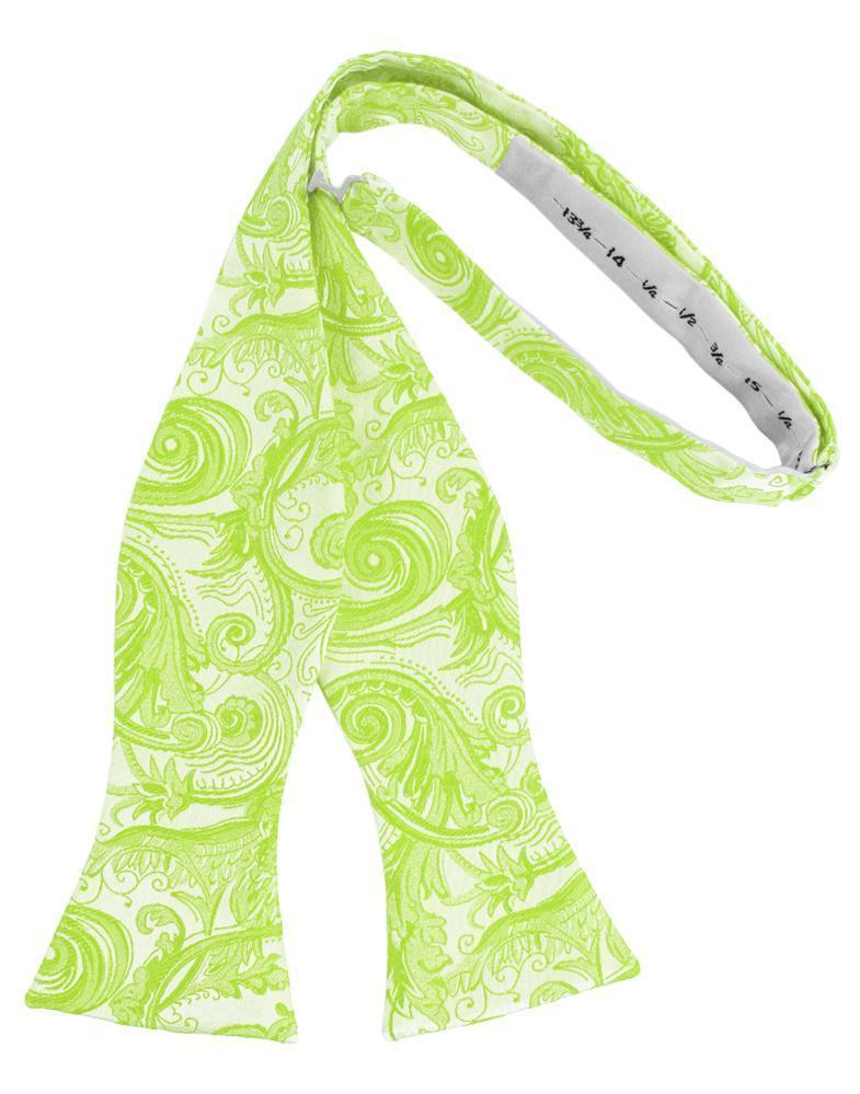 Tapestry Bow Tie Self Tie-33