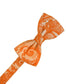 Tapestry Kids Bow Tie-34