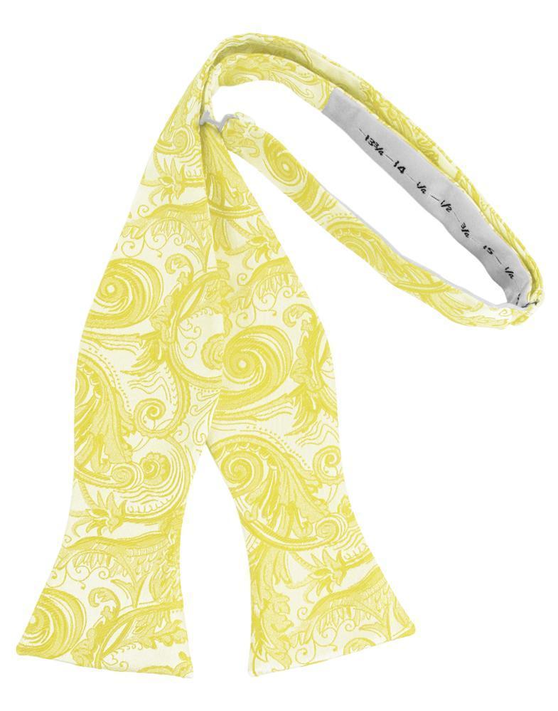 Tapestry Bow Tie Self Tie-56