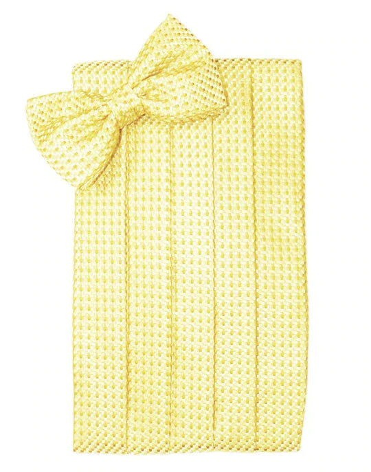 Venetian Cummerbund-4