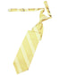 Venetian Stripe Necktie Pre-Tied-4