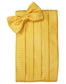 Venetian Cummerbund-10