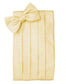 Venetian Cummerbund-11
