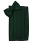 Venetian Cummerbund-14
