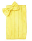 Venetian Cummerbund-17