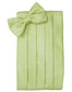 Venetian Cummerbund-19