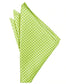 Venetian Pocket Square-17