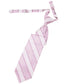 Venetian Stripe Necktie Pre-Tied-25