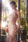 Sheer Plated Corset Gown-2