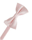 Eternity Bow Tie-1