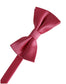 Eternity Bow Tie-5