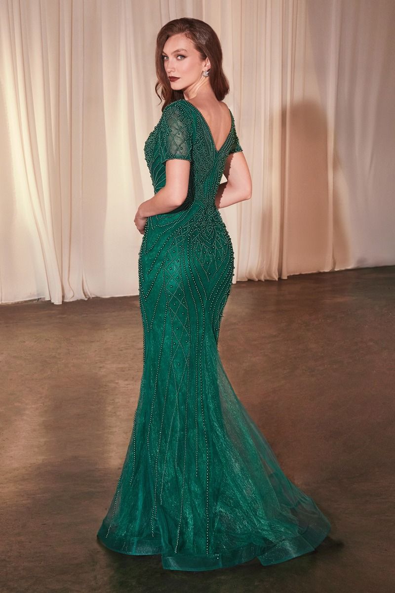 Short Sleeve Beaded Fit & Flare Gown-4