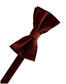 Eternity Bow Tie-9