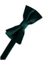 Eternity Bow Tie-13