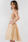 Sheer Bodice V-Neck Glitter Mesh Homecoming Dress-12