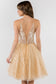 Sheer Bodice V-Neck Glitter Mesh Homecoming Dress-13