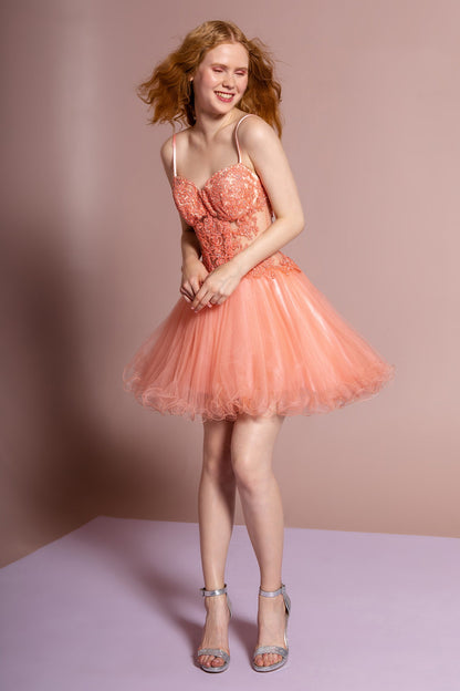 Spaghetti Straps Short Tulle Dress with Lace Bodice-5
