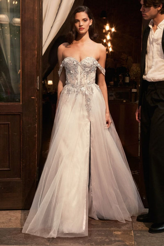 Off The Shoulder A-Line Lace & Tulle Wedding Dress-0