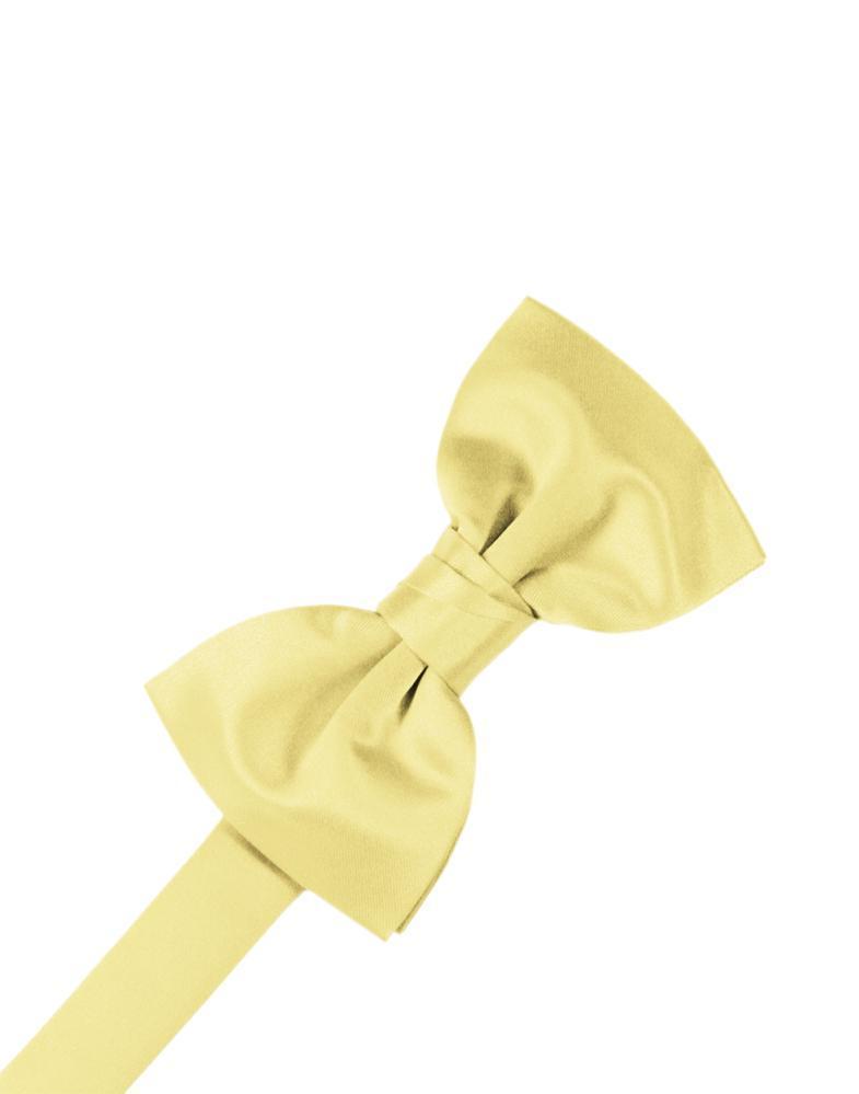 Luxury Satin Kids Bow Tie-10