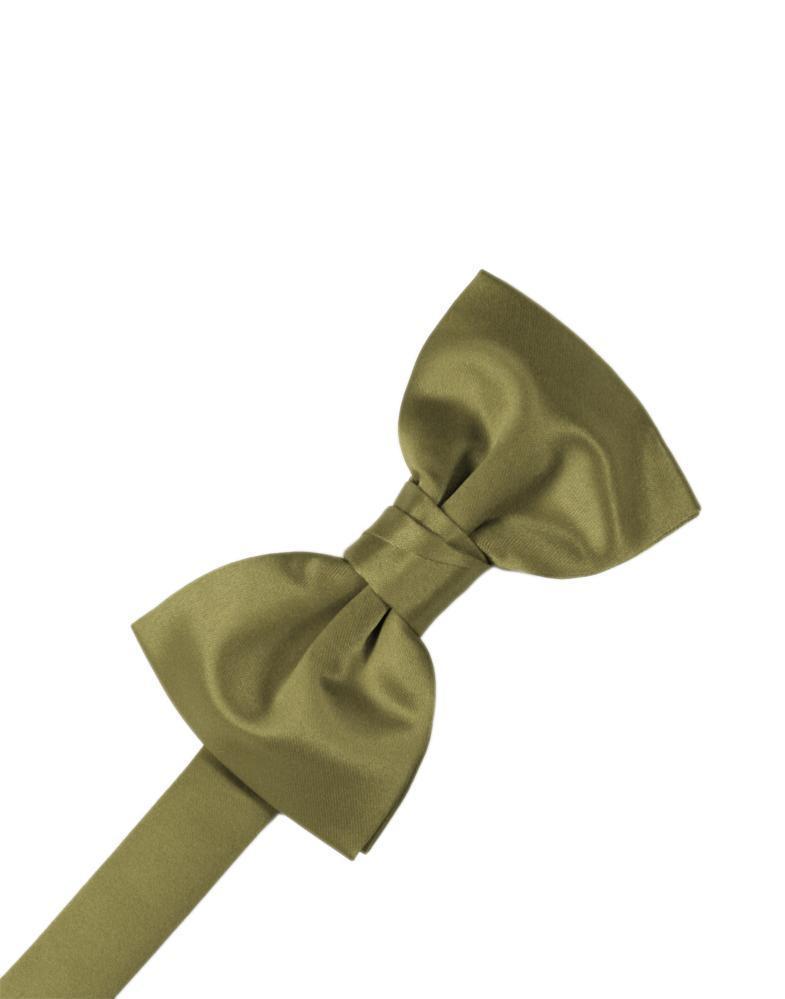 Luxury Satin Kids Bow Tie-15