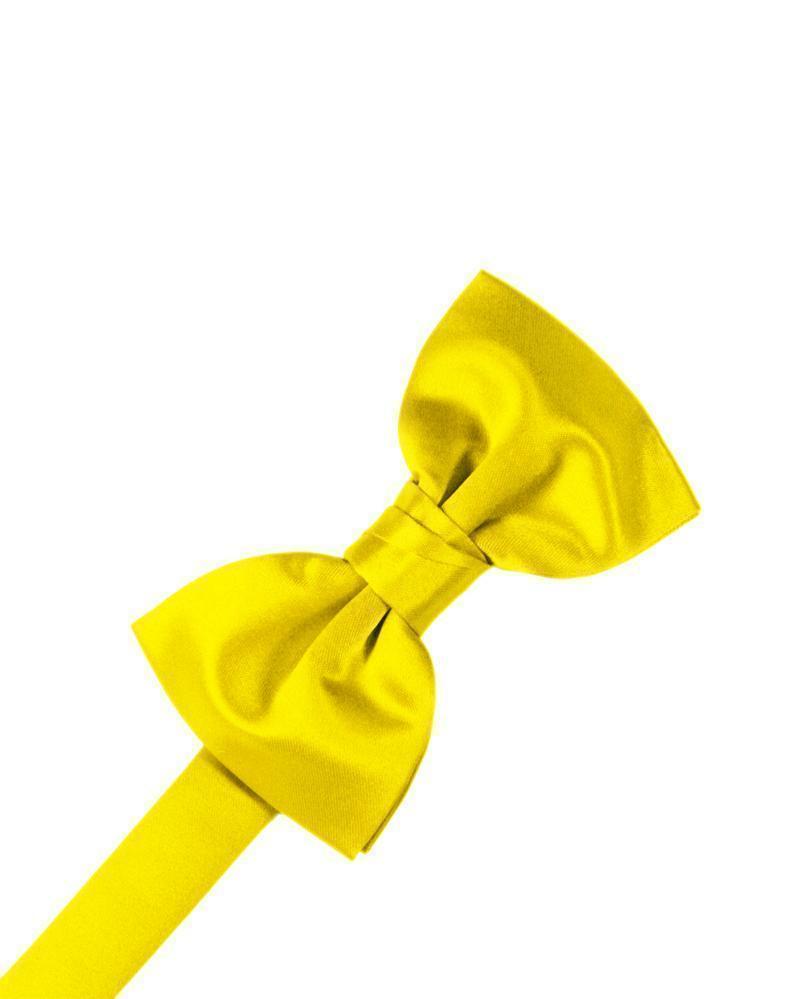 Luxury Satin Kids Bow Tie-45