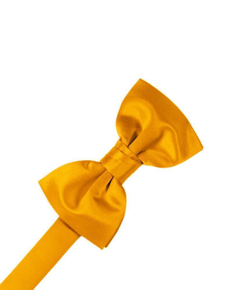 Luxury Satin Kids Bow Tie-66