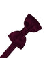 Luxury Satin Kids Bow Tie-50