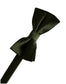 Eternity Bow Tie-22