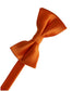 Eternity Bow Tie-24