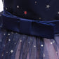 Baby Girl Frozen Elsa Princess Dress Birthday Tutu Formal Western Style Dress-10