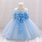 Baby Girl Petal Patched Design Sleeveless Full Moon Christening Mesh Dress-0