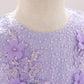 Baby Girl Floral Embroidered Pattern Full Moon Christening Sequins Tutu Dress-22