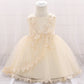 Baby Girl Floral Embroidered Pattern Full Moon Christening Sequins Tutu Dress-25