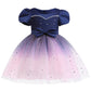 Baby Girl Frozen Elsa Princess Dress Birthday Tutu Formal Western Style Dress-2