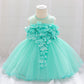 Baby Girl Petal Patched Design Sleeveless Full Moon Christening Mesh Dress-3
