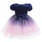 Baby Girl Frozen Elsa Princess Dress Birthday Tutu Formal Western Style Dress-7