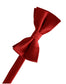 Eternity Bow Tie-31