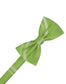 Striped Satin Bow Tie Pre-Tie-12