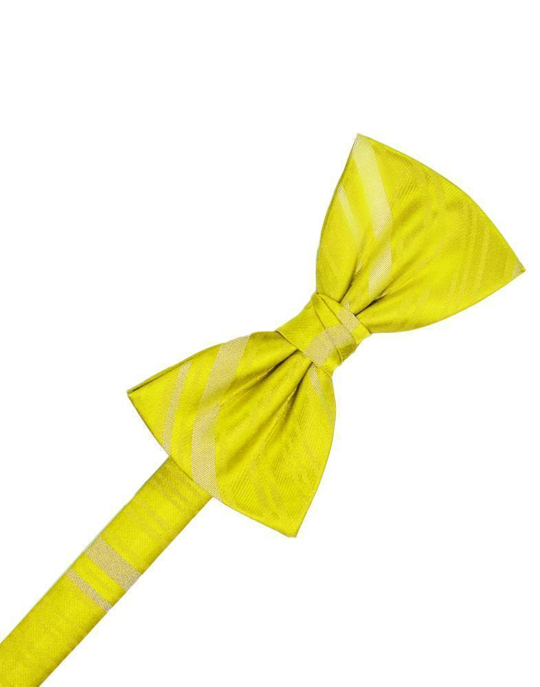 Striped Satin Bow Tie Pre-Tie-31