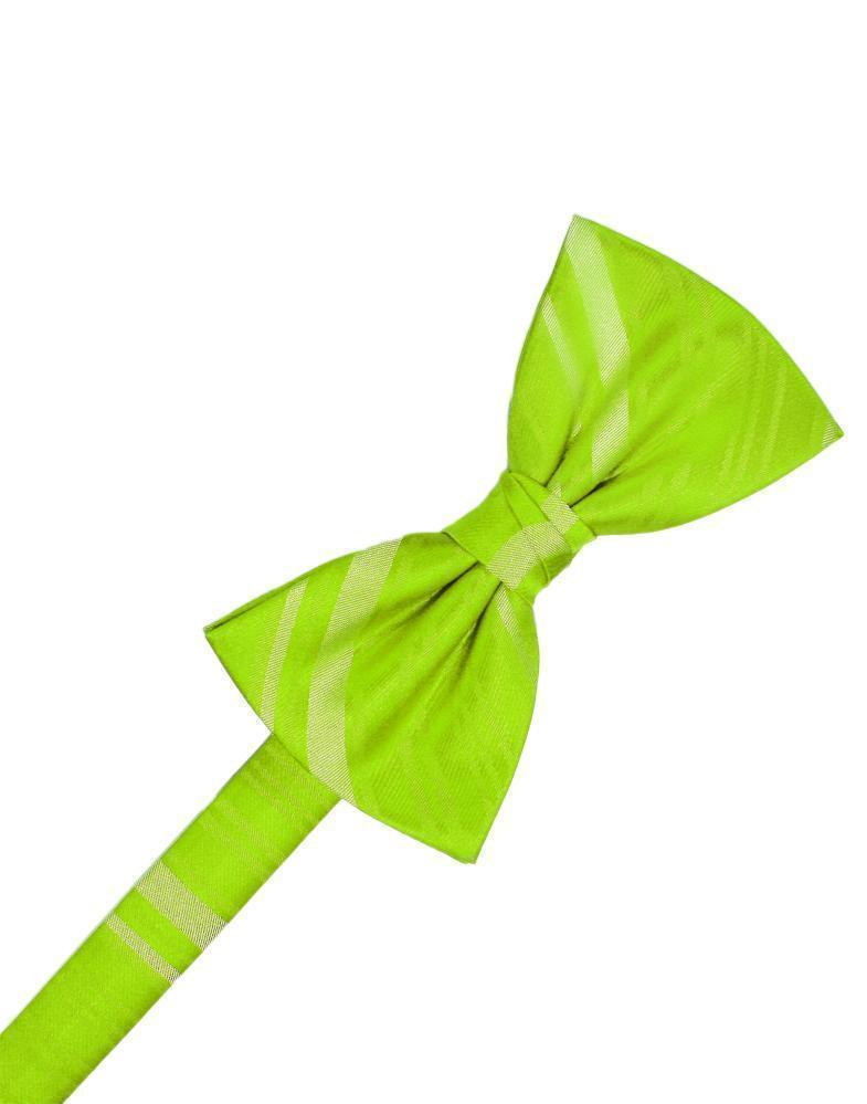 Striped Satin Bow Tie Pre-Tie-33