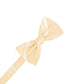 Striped Satin Bow Tie Pre-Tie-45