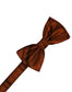 Striped Satin Kids Bow Tie-8